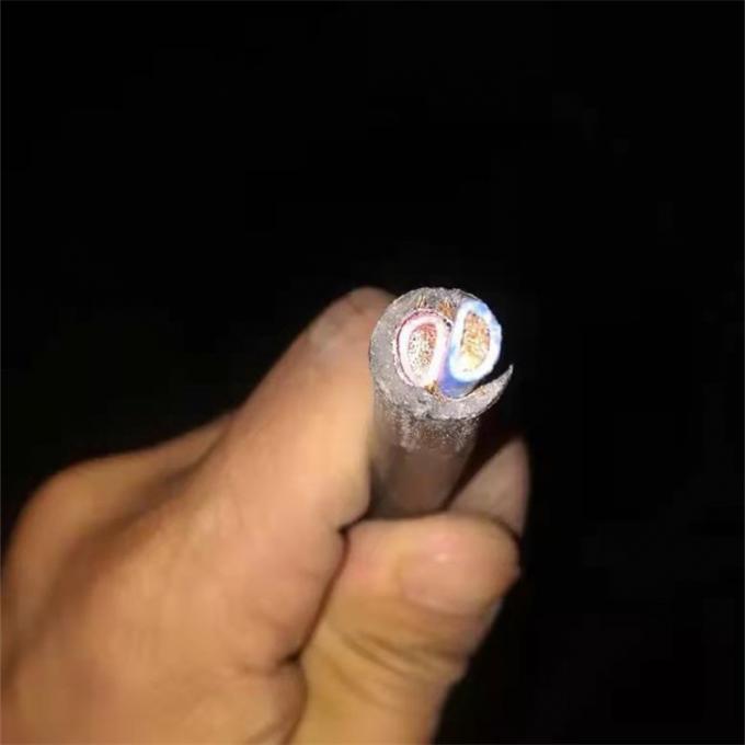 600V UL2586 RRU DC power cable D type 2x12AWG / 2x10AWG / 2x6mm2 RRU DC power cable for Huawei ZTE base stations 600V 2586 كبل الطاقة RRU D النوع 2x10AWG / 2x6mm² درع للخارجية 4